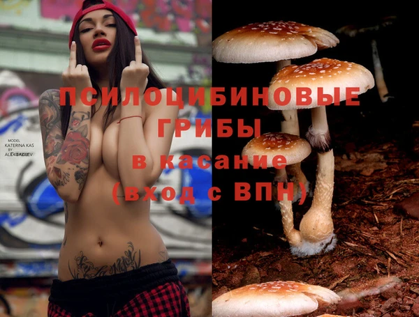 метадон Арсеньев